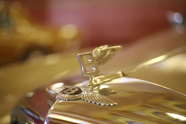 Casino Bet Winner Aip Android/iOS